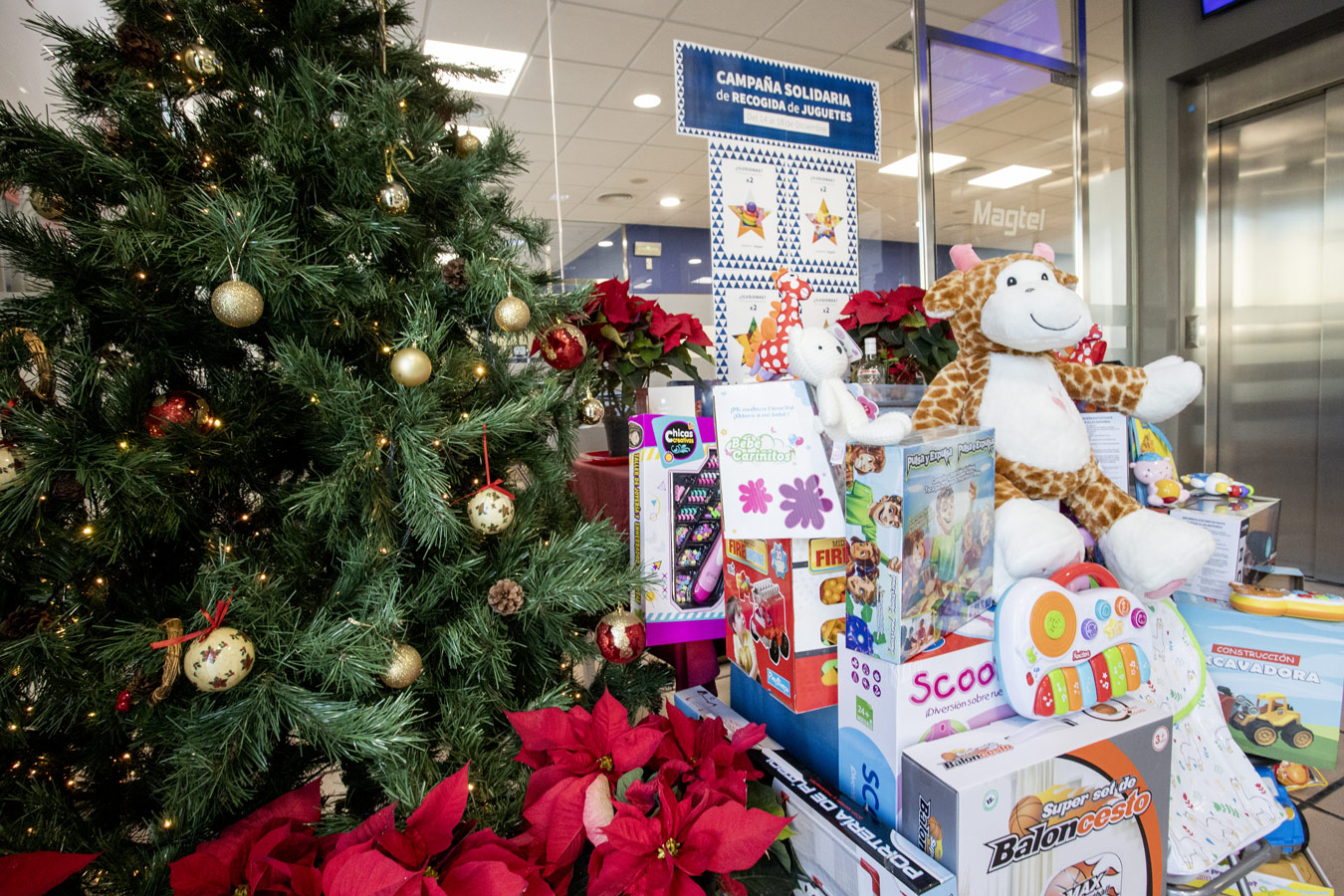 Fundación Magtel ha recogido 190 kilos de alimentos no perecederos y 60 juguetes nuevos en la Campaña solidaria de Navidad